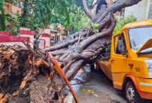 Mumbai Monsoon mayhem: Over 99 tree falls, 13 short circuits amid relentless rain