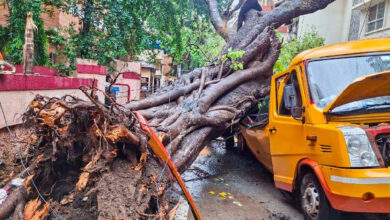 Mumbai Monsoon mayhem: Over 99 tree falls, 13 short circuits amid relentless rain