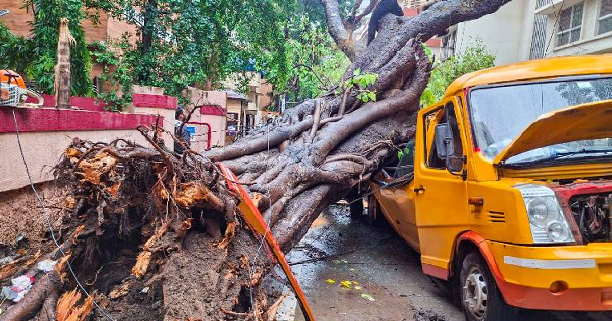 Mumbai Monsoon mayhem: Over 99 tree falls, 13 short circuits amid relentless rain