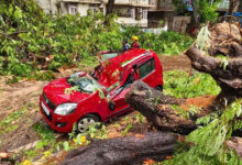 Maharashtra monsoon fury: Red alert issued; casualties rise, major transit arteries shut