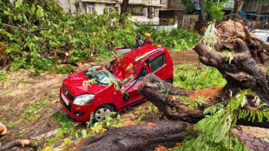 Maharashtra monsoon fury: Red alert issued; casualties rise, major transit arteries shut