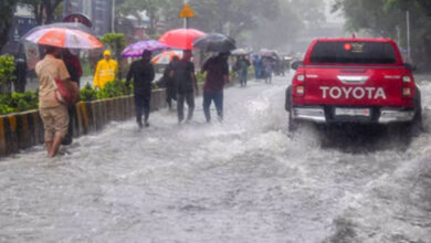 Heavy rain batters Maharashtra; school holiday declared, WFH advisory issued for Mumbai