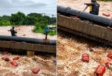 Maharashtra monsoon fury: Around 3,000 LPG cylinders swept into river in Raigad after HPCL plant wall collapses