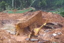 Kerala HC orders immediate relief as Wayanad toll rises to seven