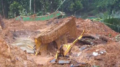 Kerala HC orders immediate relief as Wayanad toll rises to seven