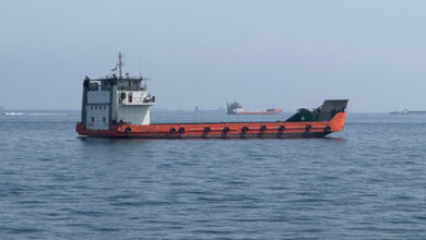 India reiterates call for safe navigation through Strait of Hormuz amid escalating tensions