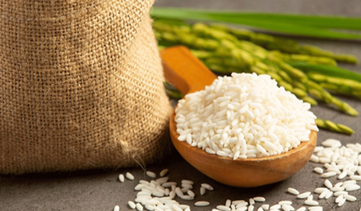 Govt achieves milestone in conservation of India's wild rice genetic resources