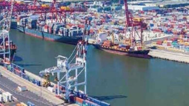 Andhra Pradesh defends Ramayapatnam Port's operation under PPP model