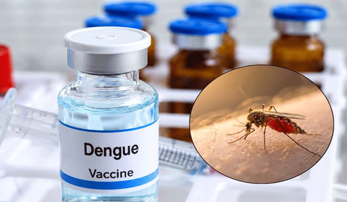 India's first dengue vaccine, who can get 'Qdenga' and how it works