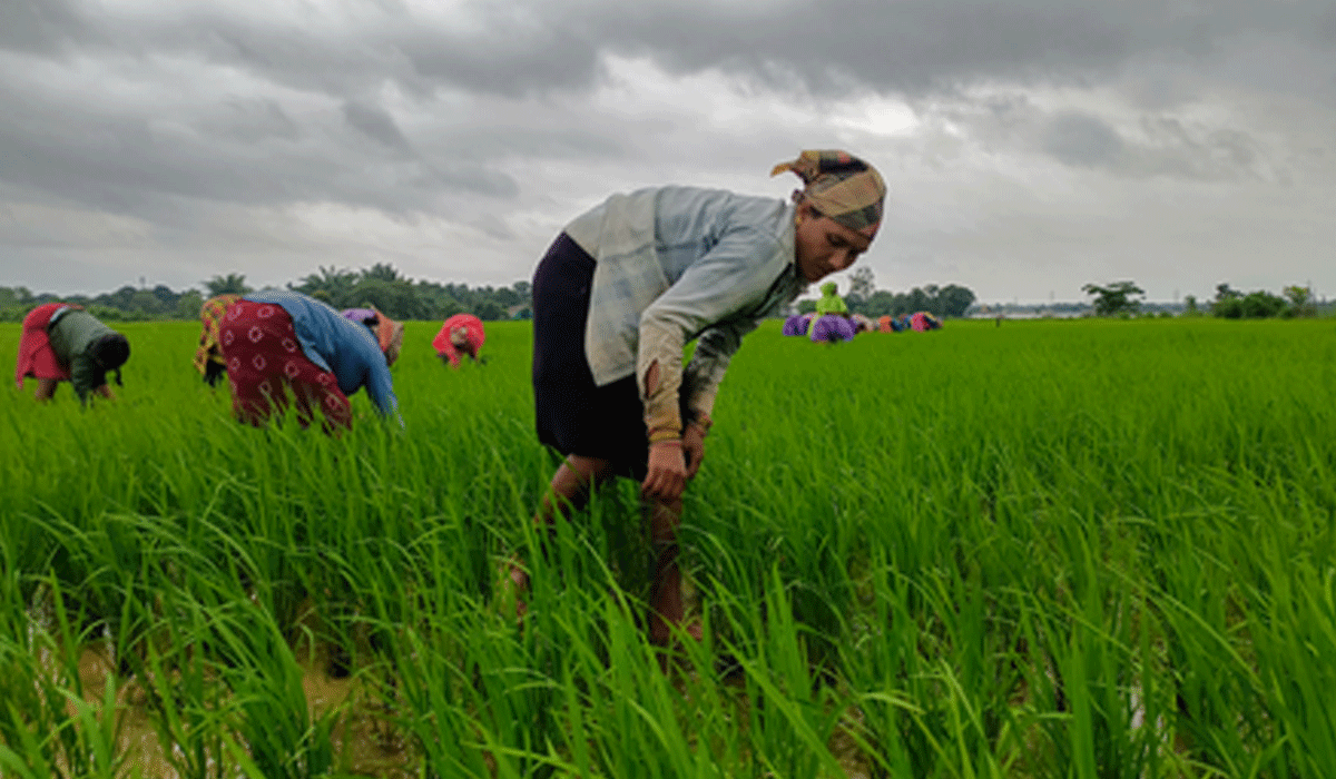 Cabinet okays continuation of PM-KISAN scheme from 2026-27 to 2030-31 with Rs 3.15 lakh crore outlay