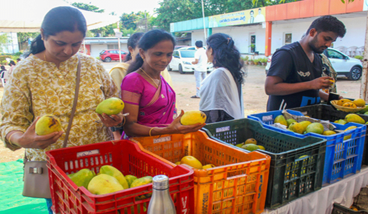 Centre sets up experts’ panel to boost earnings of Andhra's mango farmers