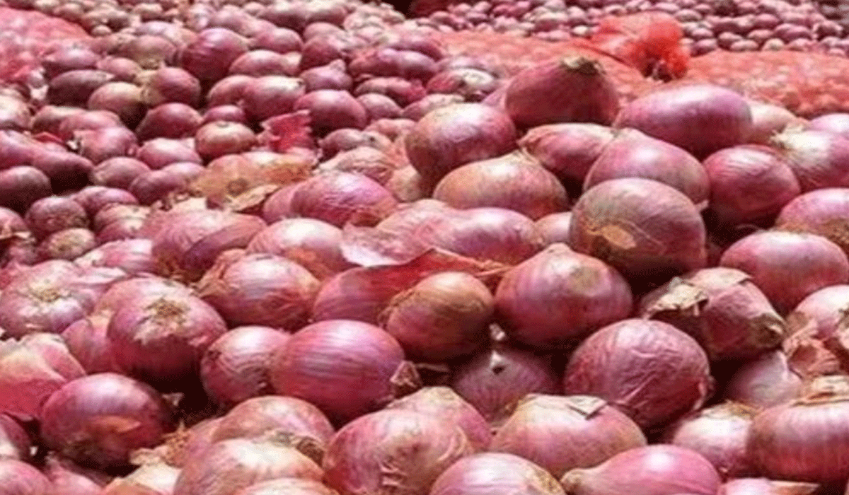 Centre hikes onion procurement price by 13 pc to Rs 2,125 per quintal