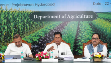 Telangana Forms Expert Committee on El Niño; 30% Rainfall Deficit Triggers State-Level Contingency Plan