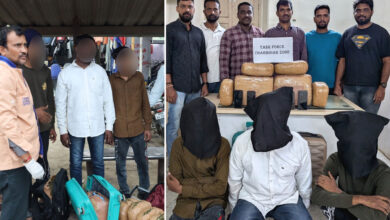 Hyderabad Task Force Busts Interstate Ganja Peddling Racket, 3 Accused Held with 22.22 Kg Dry Ganja Worth Rs 12 Lakh