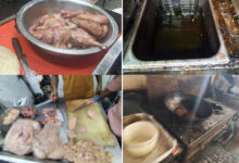 Food Safety Inspection at MasterChef Restaurant Uppal: ₹25,000 Penalty Imposed After Houseflies and Cockroaches Found