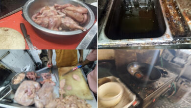 Food Safety Inspection at MasterChef Restaurant Uppal: ₹25,000 Penalty Imposed After Houseflies and Cockroaches Found