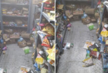 Food Safety Inspection at Instamart Gajularamaram Finds Expired Food