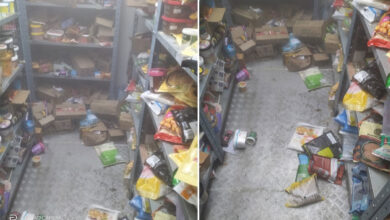Food Safety Inspection at Instamart Gajularamaram Finds Expired Food