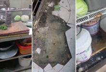 Cyberabad Food Safety Inspections Find Rat Droppings, Expired Food and Poor Hygiene; Cloud Kitchen Issued Closure Notice