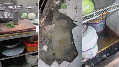 Cyberabad Food Safety Inspections Find Rat Droppings, Expired Food and Poor Hygiene; Cloud Kitchen Issued Closure Notice