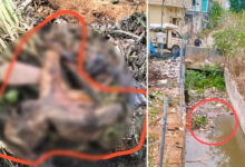 Unknown Body Found During HYDRAA Drain Desilting at Mothukula Kunta Outlet in Machabollaram, Police Begin Investigation