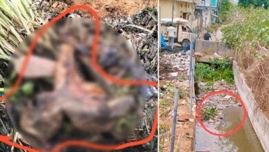 Unknown Body Found During HYDRAA Drain Desilting at Mothukula Kunta Outlet in Machabollaram, Police Begin Investigation