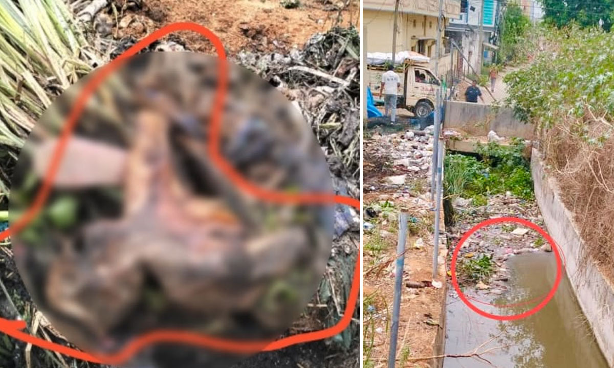 Unknown Body Found During HYDRAA Drain Desilting at Mothukula Kunta Outlet in Machabollaram, Police Begin Investigation