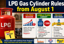 LPG Gas Cylinder Rules from August 1: Possible Price Revision, Ujjwala Subsidy Limit Reduced to 4 Cylinders, PNG Rule Continues