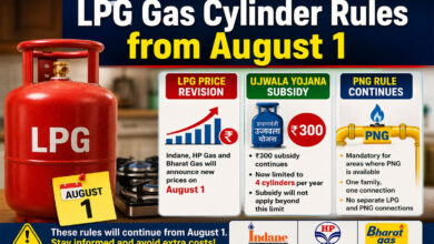 LPG Gas Cylinder Rules from August 1: Possible Price Revision, Ujjwala Subsidy Limit Reduced to 4 Cylinders, PNG Rule Continues
