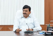 Telangana Land Re-Survey: Minister Ponguleti Srinivas Reddy Directs Collectors to Complete Re-Survey on Time