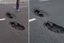 Delhi–Dehradun Expressway Under Scrutiny as Large Potholes Appear Within Months of Inauguration, Safety Concerns Rise