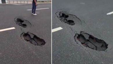 Delhi–Dehradun Expressway Under Scrutiny as Large Potholes Appear Within Months of Inauguration, Safety Concerns Rise