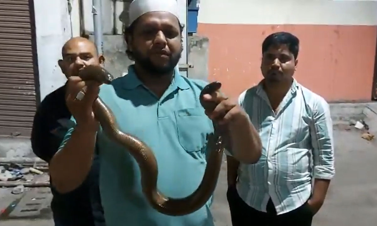Rare Red Sand Boa "Two-Faced Snake" Rescued Near Masjid-e-Ilahi in Hyderabad After Stray Dog Attack