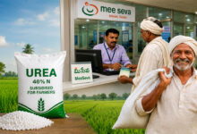 Telangana Government Launches Urea Booking Through MeeSeva Centres, Making Subsidised Urea Easier for Farmers