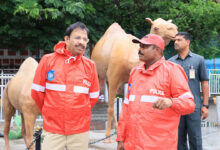 Hyderabad Rain Alert: Police Commissioner V.C. Sajjanar Urges Public to Avoid Non-Essential Travel, Follow Traffic Advisories