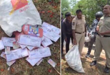 500+ Voter ID Cards Found Dumped Near Jalpally Forest Park in Hyderabad, Police Launch Investigation