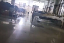 Stray Dogs Roam Warangal MGM Hospital, Parents Fear for Children’s Safety