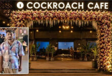 Bihar Youth Opens ‘Cockroach Cafe’ Inspired by CJI Protests in Delhi
