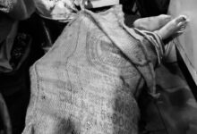 Boyfriend Allegedly Kills Girlfriend, Packs Her Body in Gunny Sack in Hyderabad