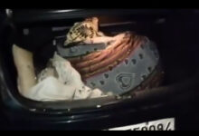 Mystery Deepens as Woman’s Body Found in Car Trunk in Hanamkonda