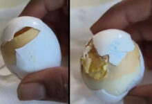 Spoiled Eggs Found at Pedda Amberpet Anganwadi Centre, Locals Express Outrage