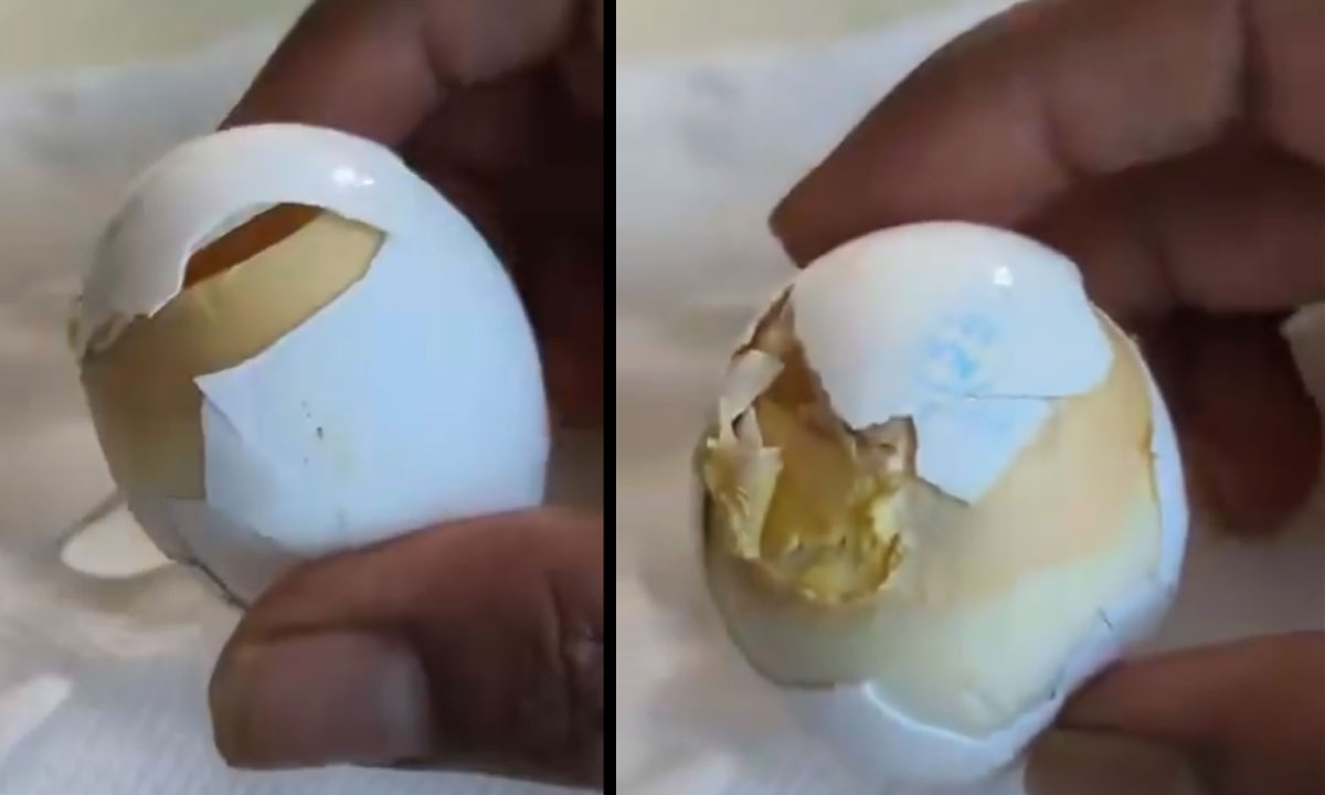 Spoiled Eggs Found at Pedda Amberpet Anganwadi Centre, Locals Express Outrage