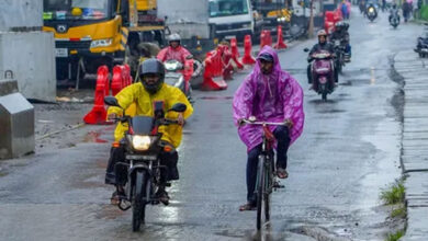 IMD issues orange alert for 6 Kerala districts, fishermen advised caution