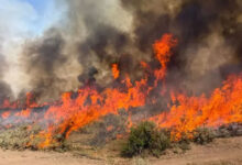 Two killed in helicopter crash fighting wildfire in US state of Utah