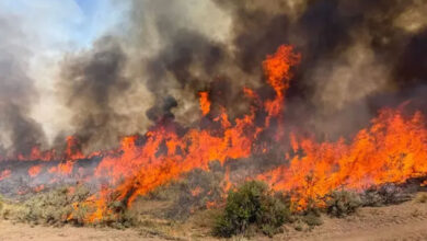 Two killed in helicopter crash fighting wildfire in US state of Utah