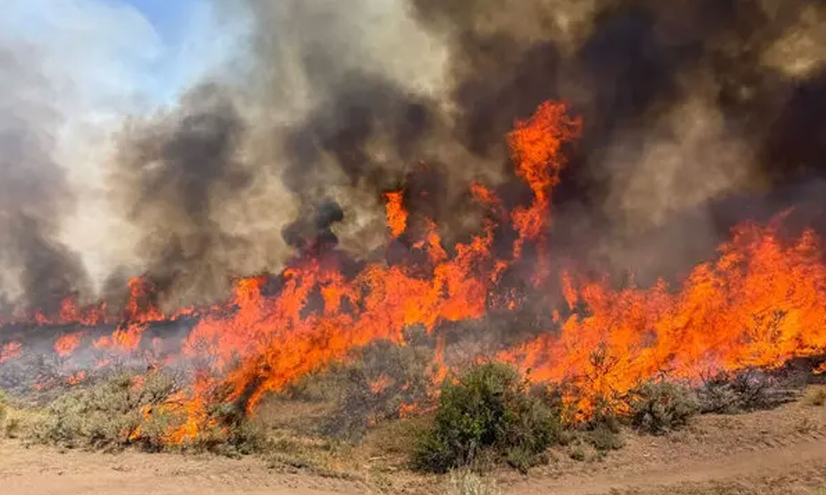 Two killed in helicopter crash fighting wildfire in US state of Utah