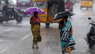 Heavy rain disrupts normal life in MP; schools shut in Bhopal