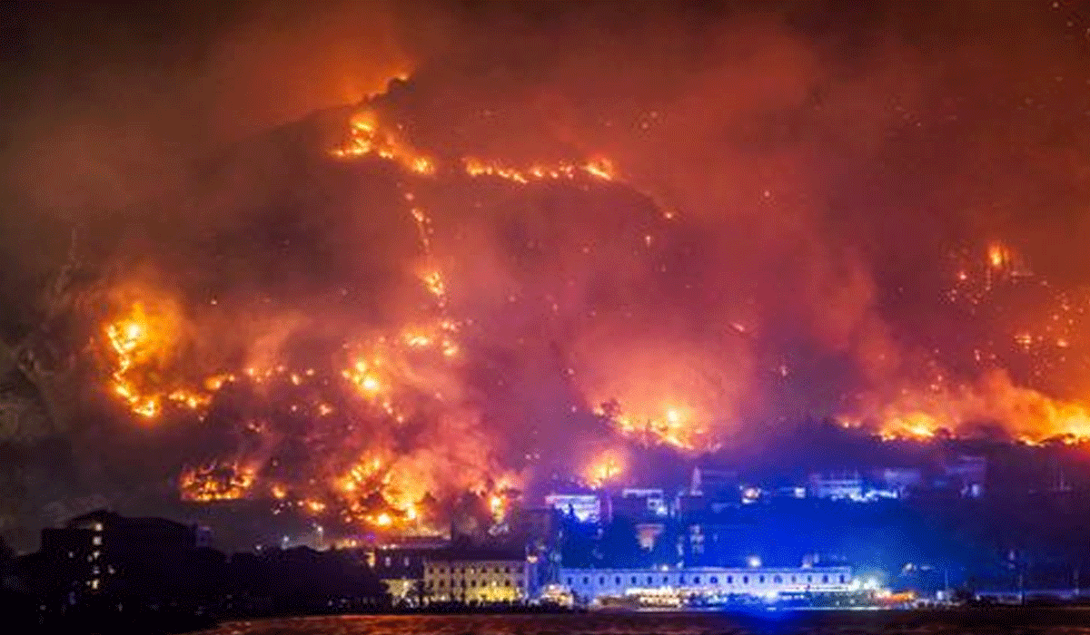 Scores injured in wildfire sweeping Croatian coast