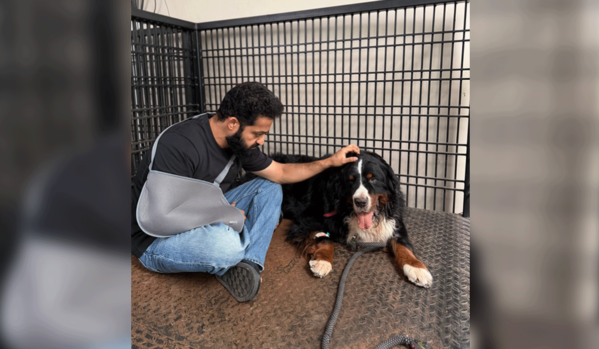 NTR Jr mourns beloved pet Bagheera: Your absence leaves a silence