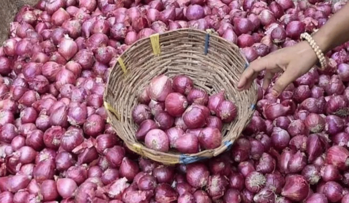 Onion Prices Surge Up to 40% in a Week, Raising Concerns for Consumers